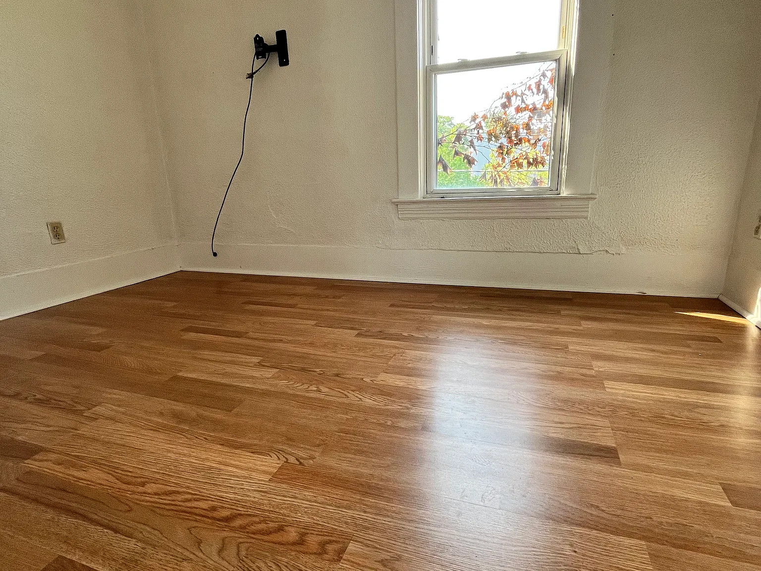 2 bed, 800 sqft, $1,195 — Photo 3
