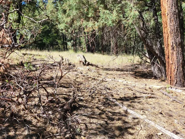 LOT 9 Walnut Gln, Pine, AZ 85544