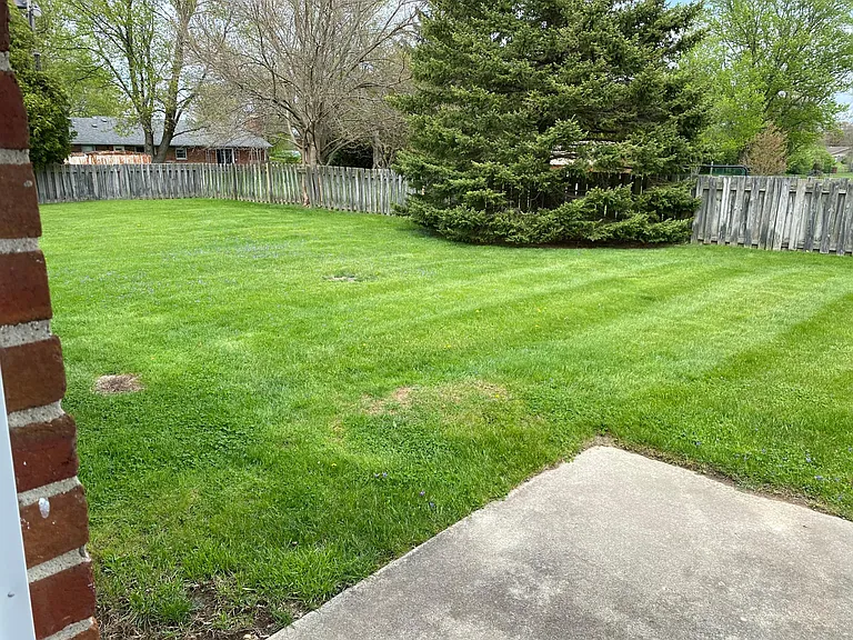 7302 N Buddy Dr — Photo 14