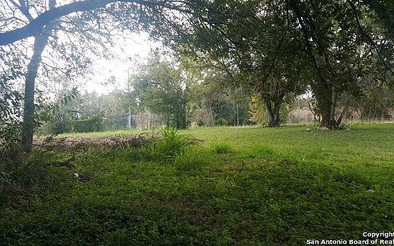 2nd image of 234 Early Trl