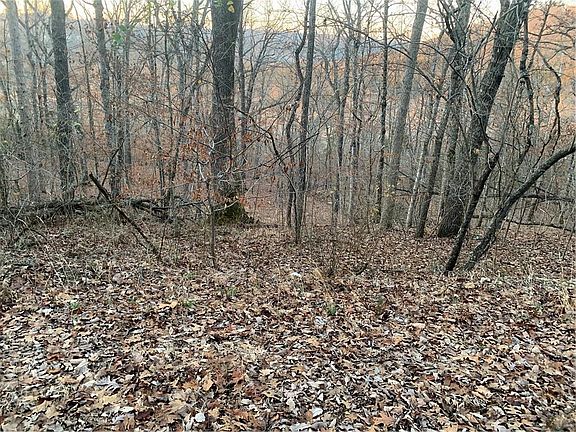 3rd image of Woodside Ln