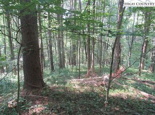 Tbd Spicewood Dr, Warrensville, NC 28693