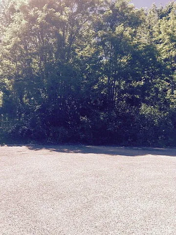 25 Bradford Dr photo 1