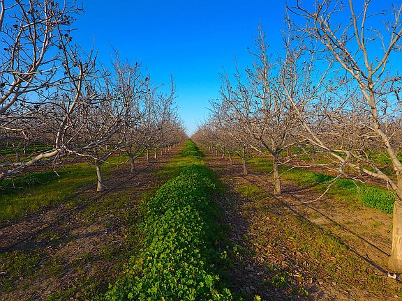 3rd image of 28201 S Banta Rd