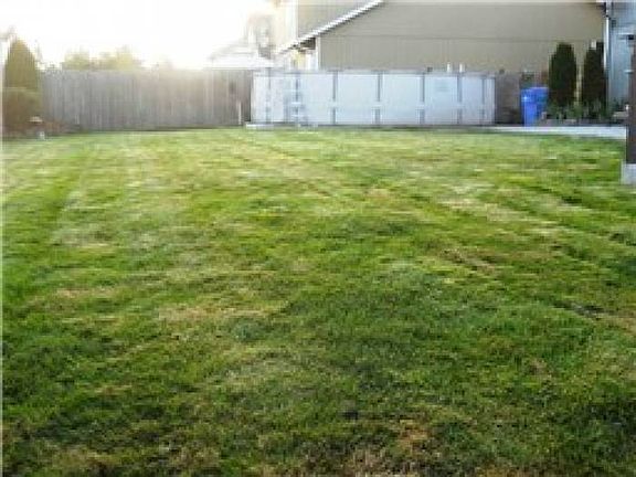 fully fenced backyard