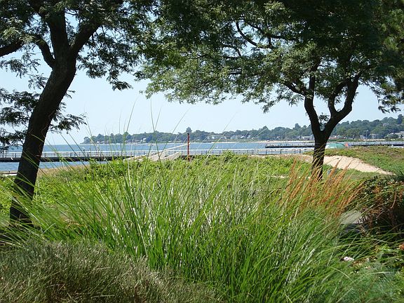 Summer View from Patio