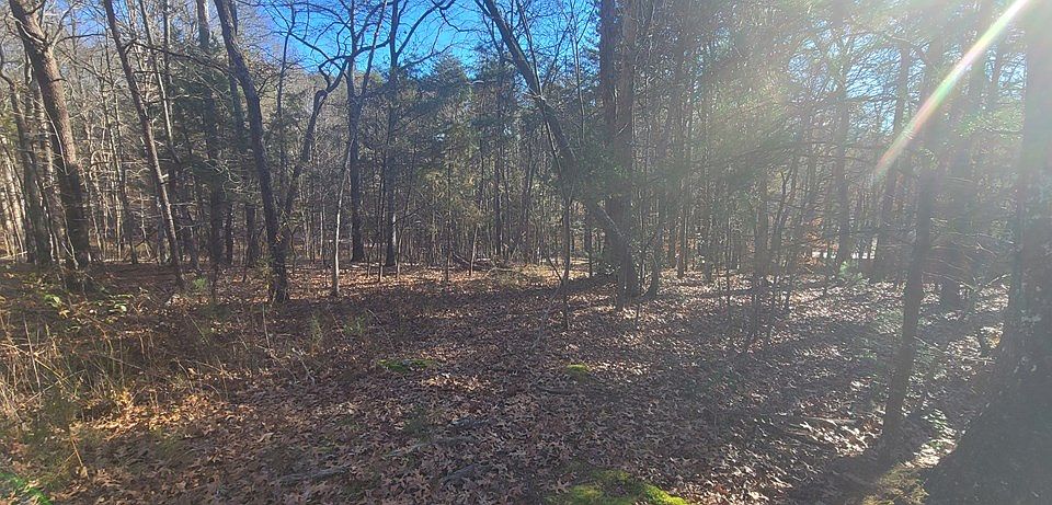 2nd image of 0 Avery Scroggs Rd
