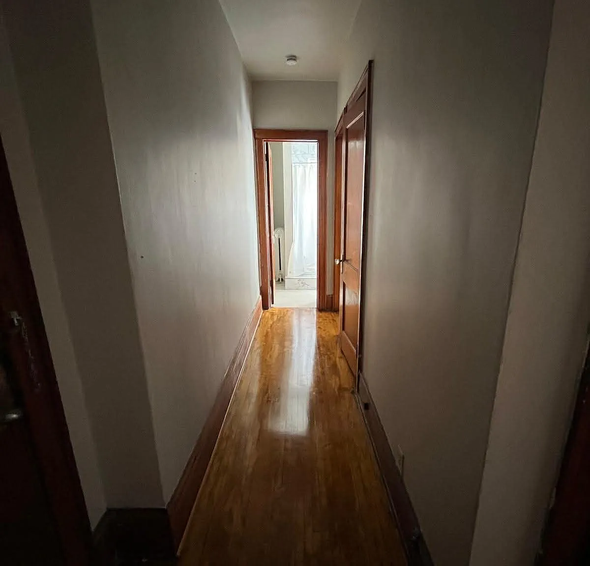 1 bed, $1,100 — Photo 2