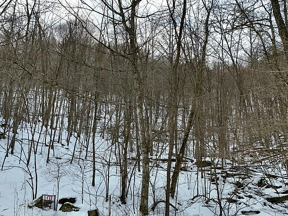 2nd image of LOT D2 Gobblers Ln