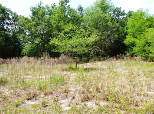 1007 Long Ave, Inverness, FL 34453