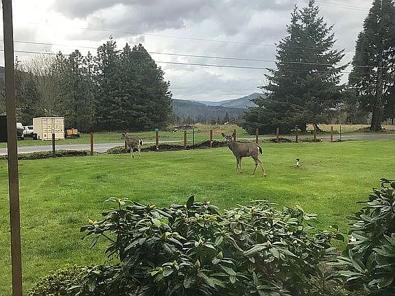 3rd image of 4463 Post Canyon Dr