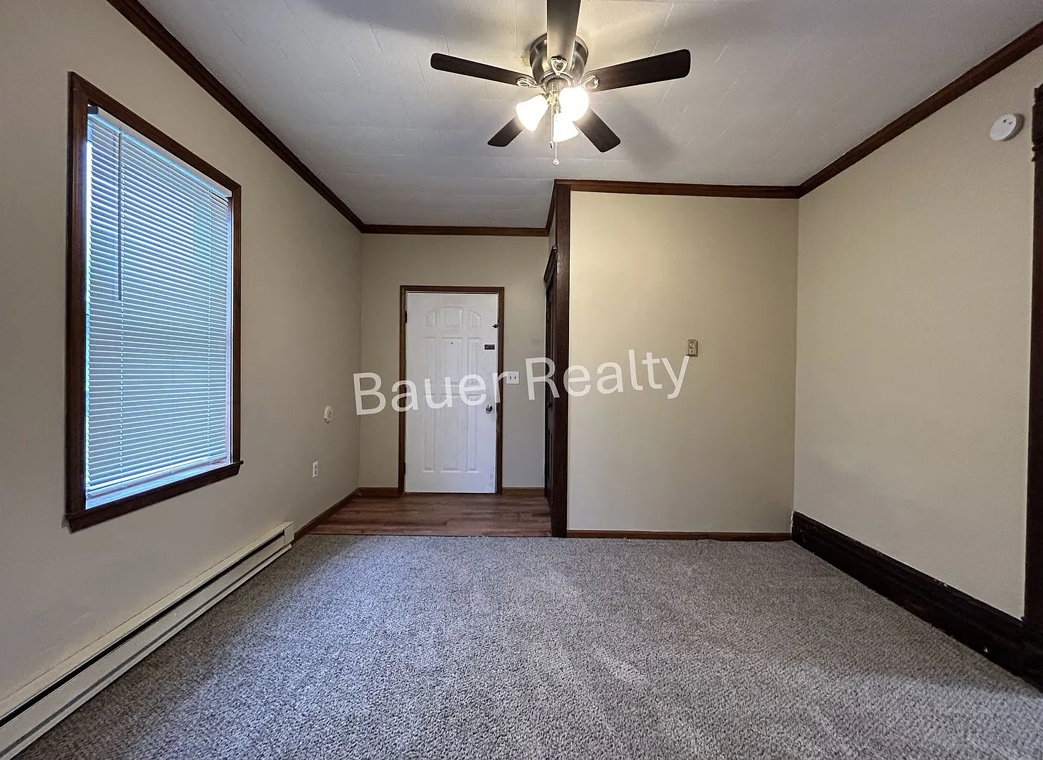 ad313 — Photo 3
