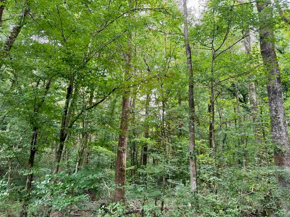 2194 Highway 570 E, Summit, MS 39666
