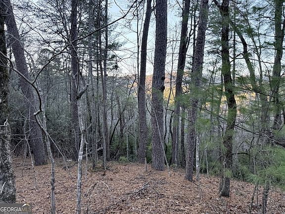 4th image of 0 Timber Bluff Dr