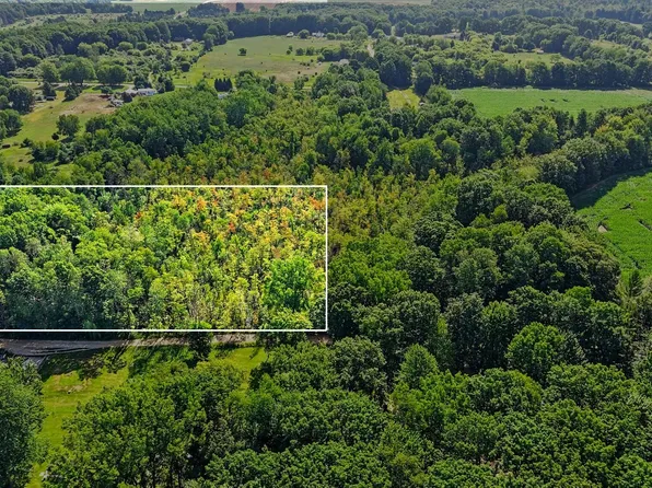 V/l E Woodland Dr, Six Lakes, MI 48886
