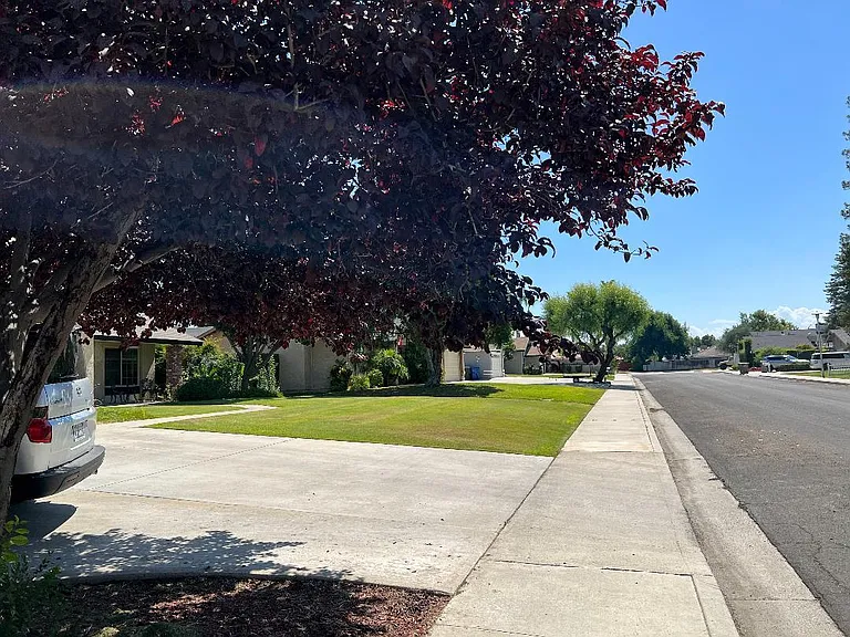 Paul Ave — Photo 12