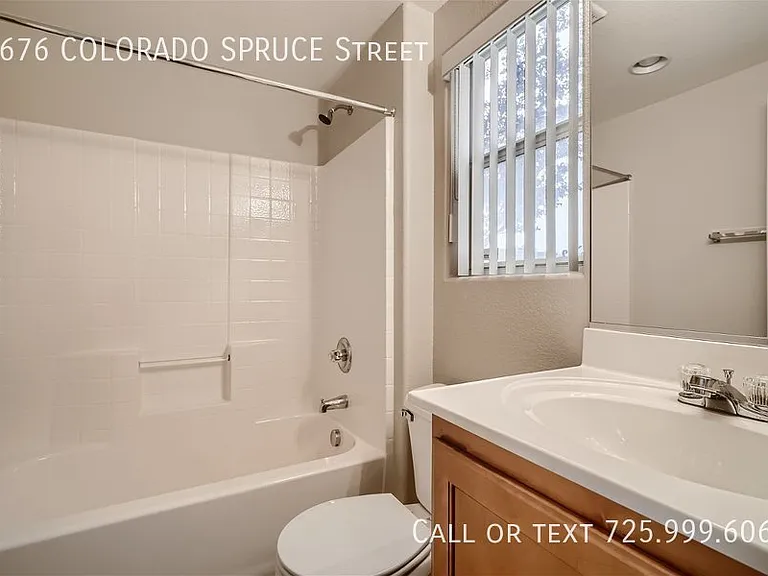 6676 Colorado Spruce St — Photo 21