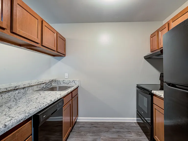 Chesapeake Pointe — Photo 8