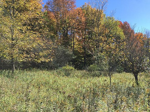 Recreation /future home site