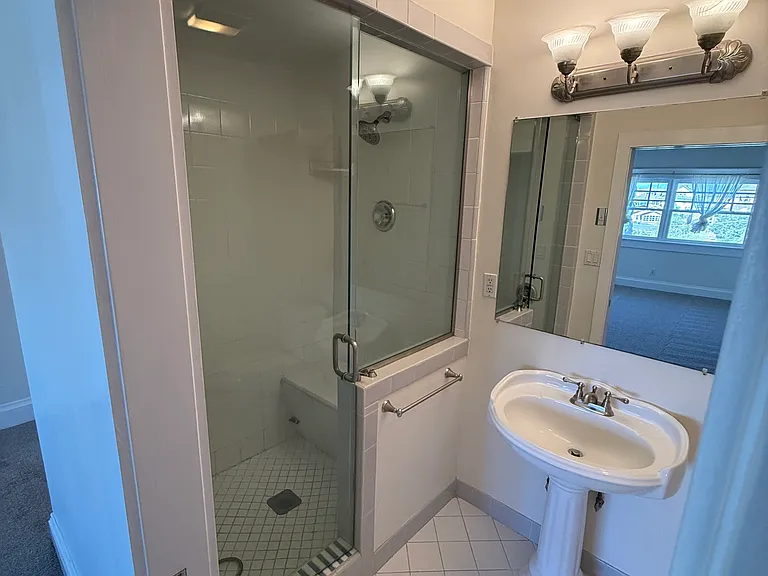 Master bath with steam room shower.
