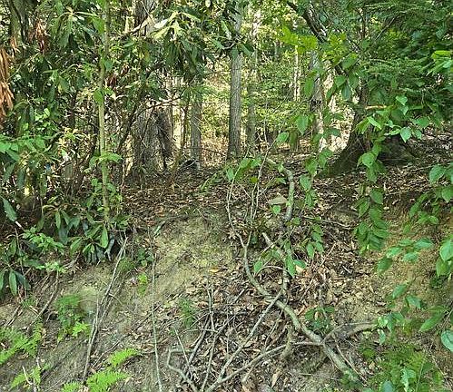 2nd image of 0 Ridge Rd