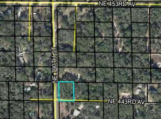 TBD NE 790th St, Old Town, FL 32680