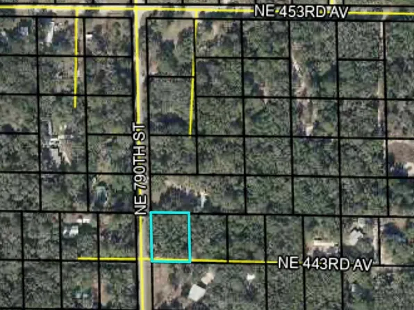 TBD NE 790th St, Old Town, FL 32680