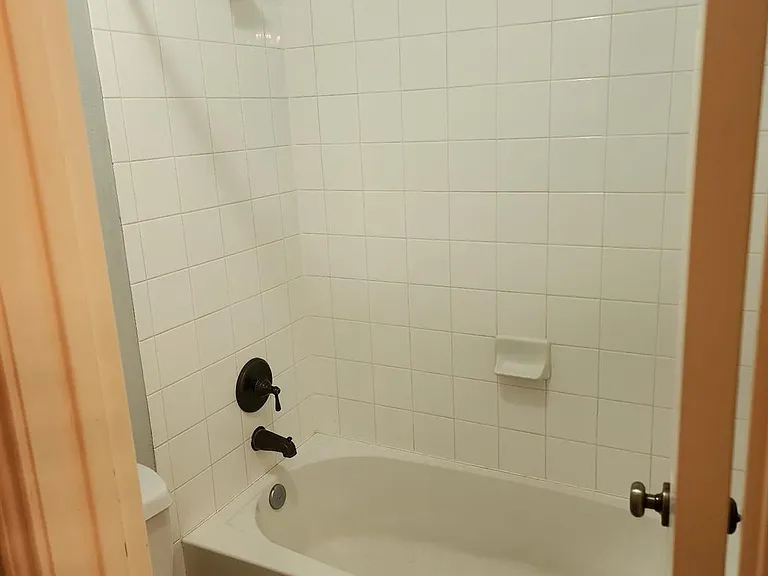 16935 Jelly Park Stone Dr — Photo 19