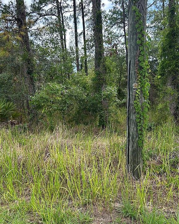 2nd image of 8131 NIGHTINGALE ROAD LOT 17