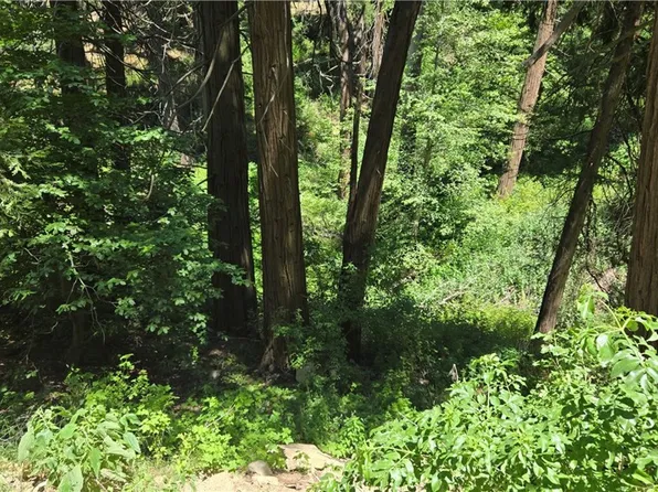 0 Burnt Mill Canyon Rd #32, Cedarpines Park, CA 92322