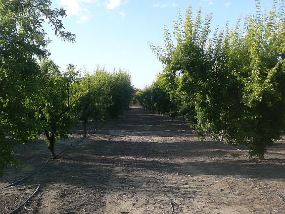 3rd image of 33605 Road 220