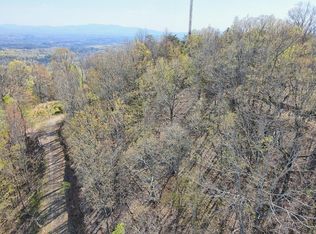 36 Moosilaukee Dr, Mineral Bluff, GA 30559