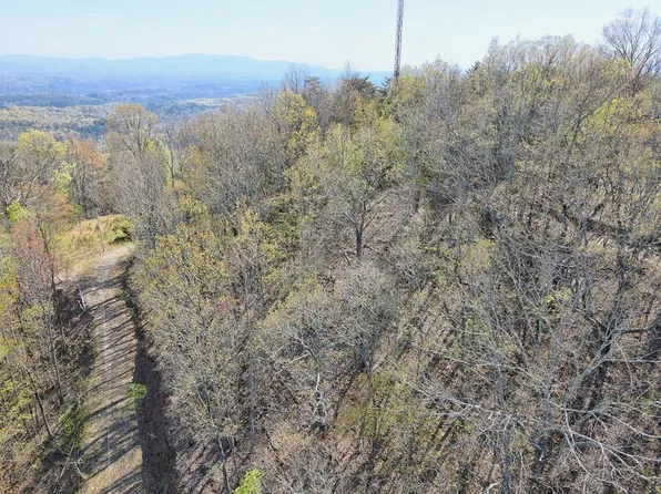 36 Moosilaukee Dr, Mineral Bluff, GA 30559