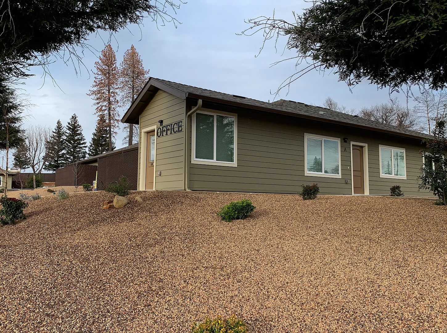 Paradise Apartments — Photo 4