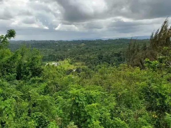 Km 1.8 Pr #678, Vega Alta, PR 00692