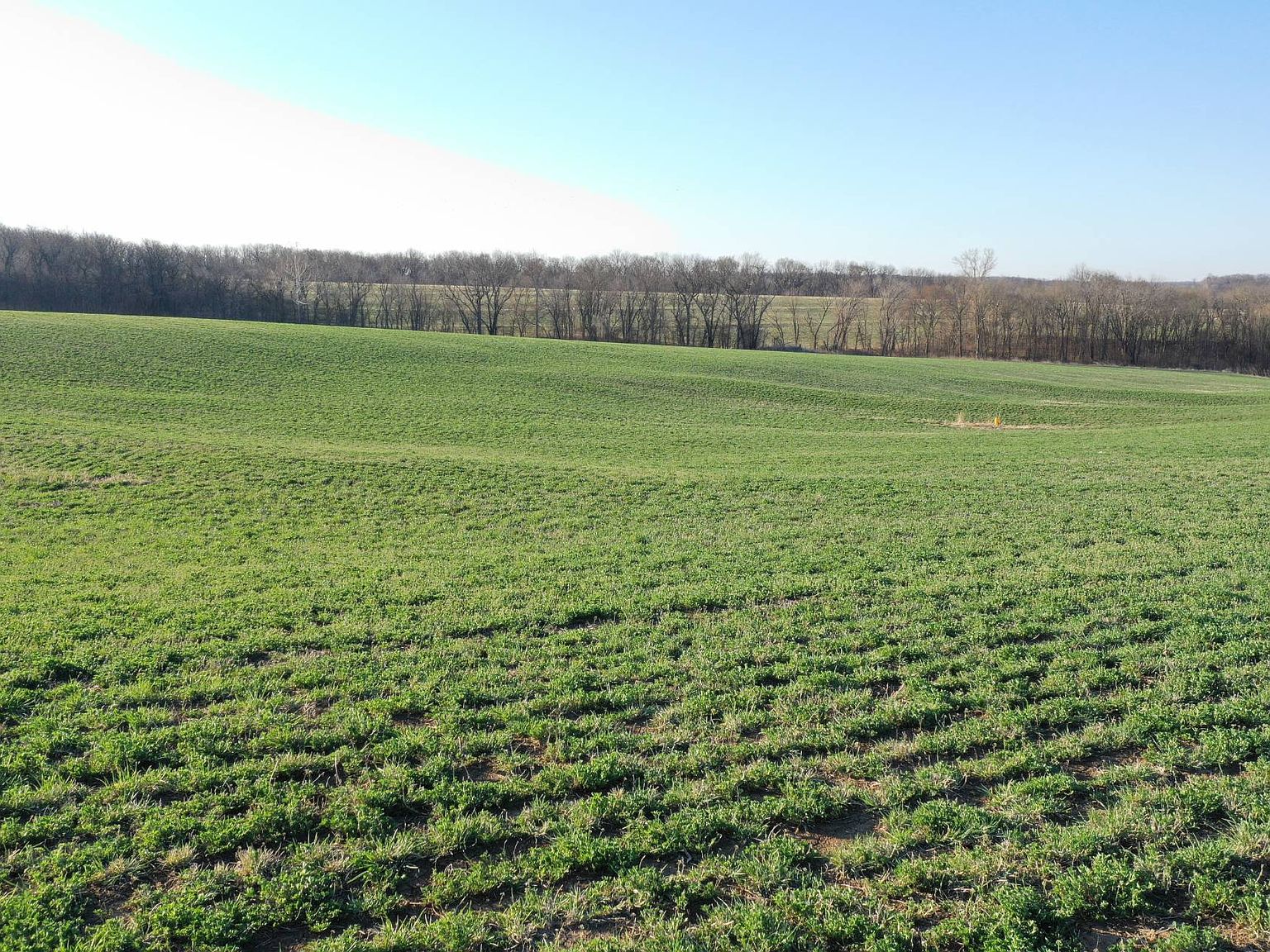 216th St, Union Star, MO 64494 Zillow