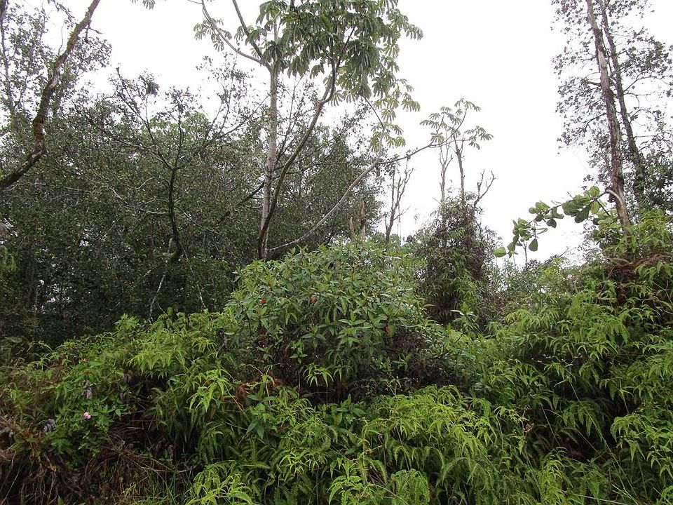 2nd image of 26th Ave Lot 21