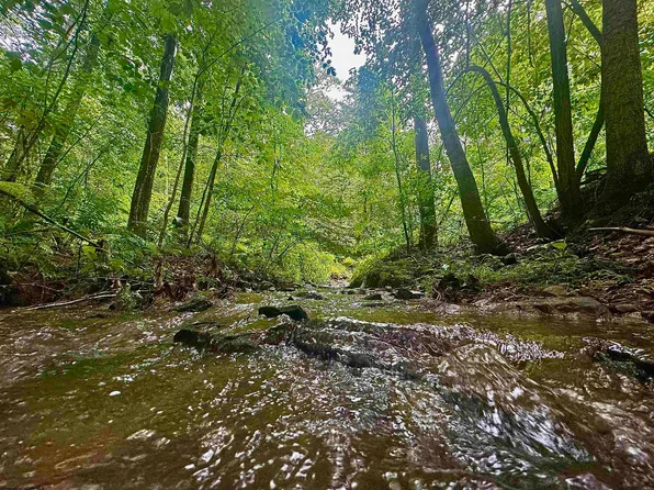 1 S Teter Creek Rd, Montrose, WV 26283