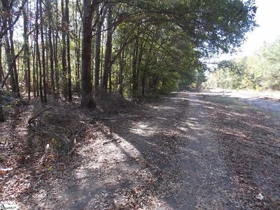0 Liberty Springs St, Cross Hill, SC, 29332
