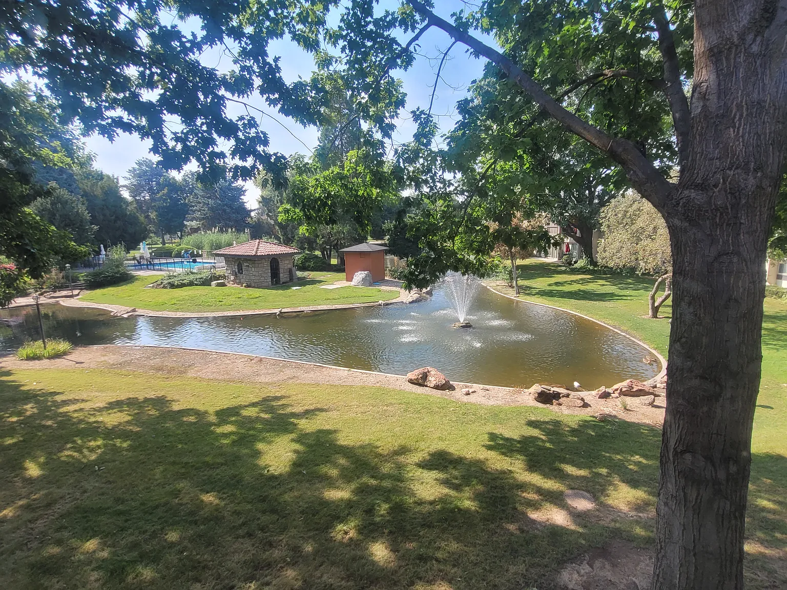 1 bed, 1000 sqft, $1,595 — Photo 1