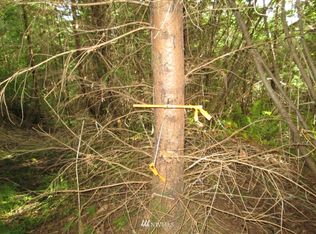 0 P G Sweet Rd, Kelso, WA 98626