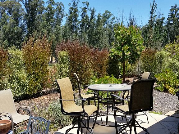 Patio, backyard, view