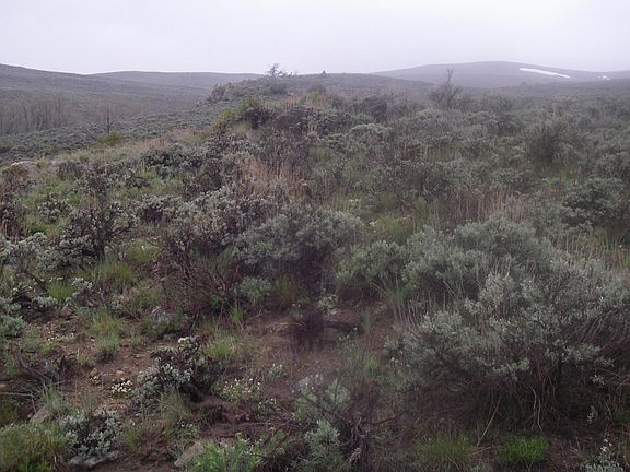 2nd image of TBD County Road 20
