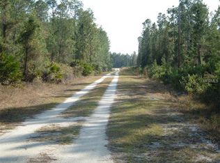 150 Bell Fountaine Ave, Pierson, FL 32180