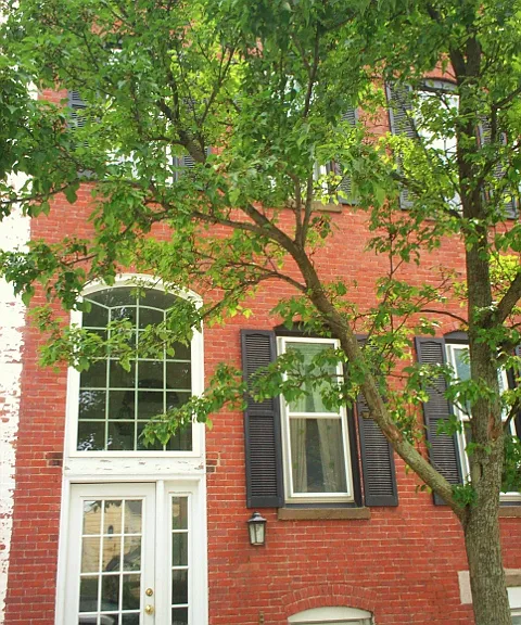 825 E 3rd St #1 — Photo 25