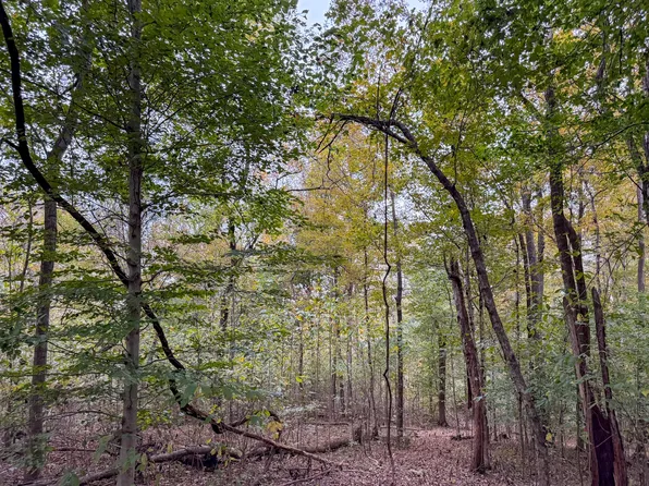 2 Highway 149 Lot 2, Cumberland City, TN 37050