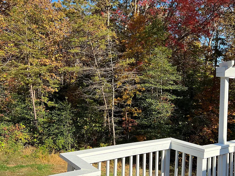 14389 Snake Castle Rd — Photo 26
