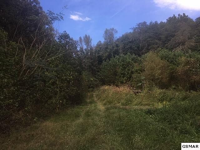 1st image of 4 Waldens Creek Rd