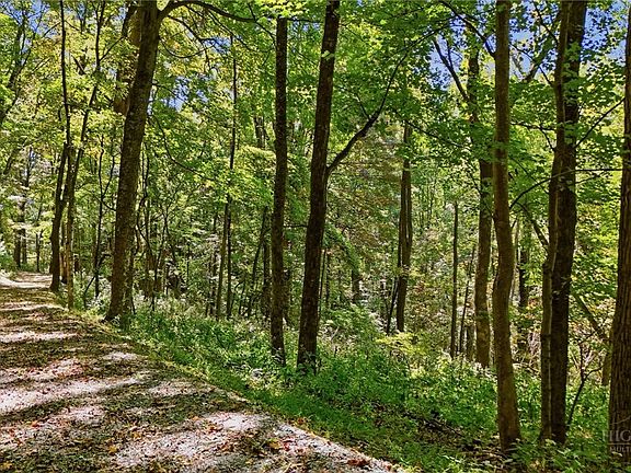 3rd image of Off Rocky Knob Tower Road