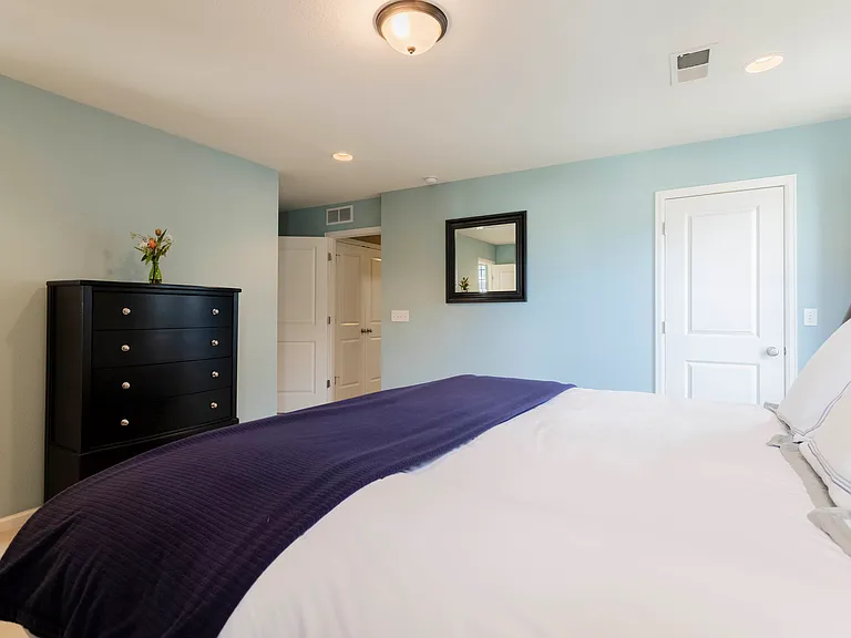 Primary Bedroom with King Bed and Walk in Closet